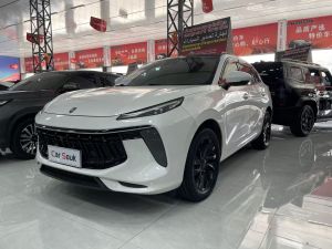 Dongfeng Fengxing Fengxing T5 EVO2021 Edition1.5TD DCT Goddess Edition