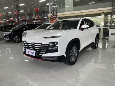 Jetour Dasheng 2024 Model 1.5T DCT Youth PRO