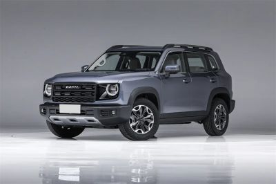 Haval Big Dog 2026 2.0T DCT Chinese Rural Dog Edition