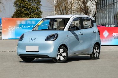 Wuling Hongguang MINIEV 2025 4-Door Version Zhenxiang+ Edition