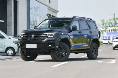 TANK Tank 400 2025 Model 2.0T Gasoline Version