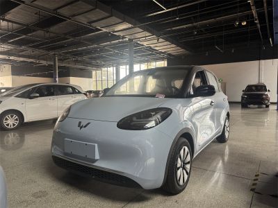 Wuling Bingo 2023 Model 333km Enjoy+ Version