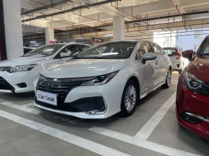 Toyota Asian Lion 2021 Model 20L Premium Edition