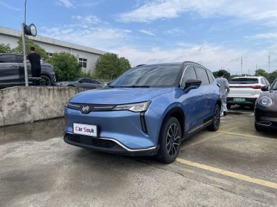 WM Motor WM EX5 2020 Year Model EX5-Z Nex Exploration Edition