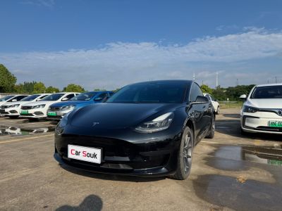 Tesla Model 3 2020 Standard Range Rear-Wheel Drive Upgrade Edition