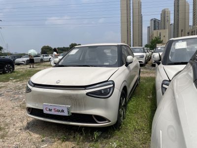 Dongfeng Nano Nano 01 2026 Chuxin Edition 330Plus