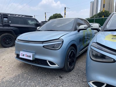 Dongfeng Nano Nano 01 2026 Chuxin Edition 330Plus